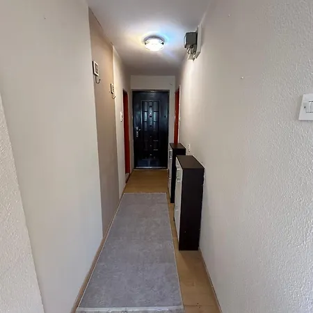 Stan * 特拉夫尼克