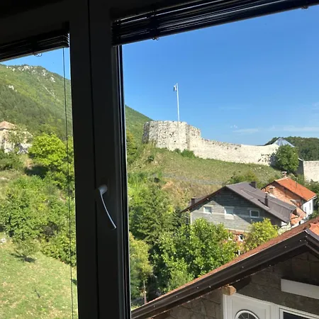 Stan 特拉夫尼克